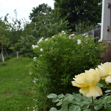 Apartman Mira SJJ Esterno foto