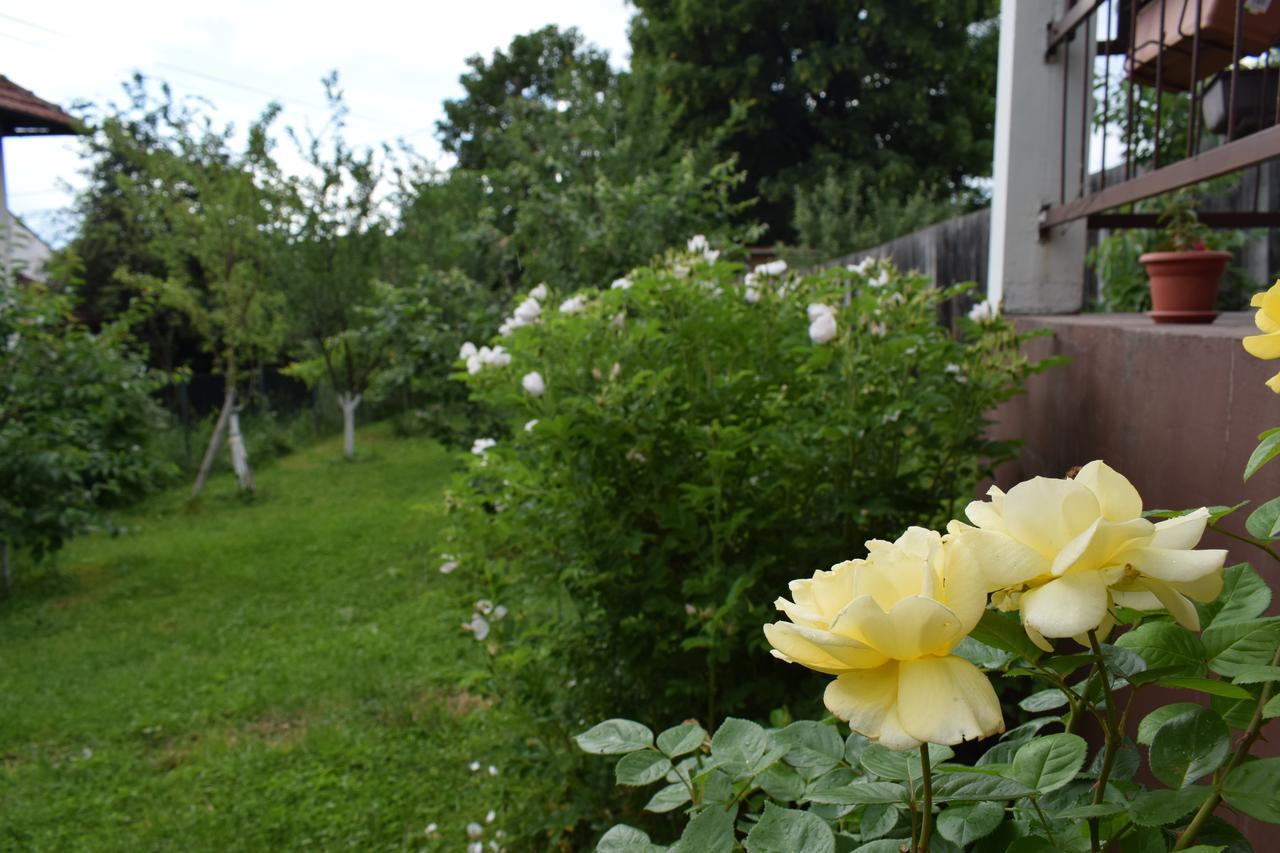 Apartman Mira SJJ Esterno foto